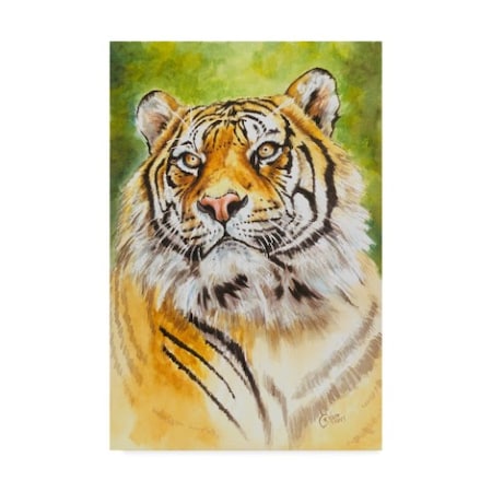 Barbara Keith 'Sumatran Tiger' Canvas Art,30x47